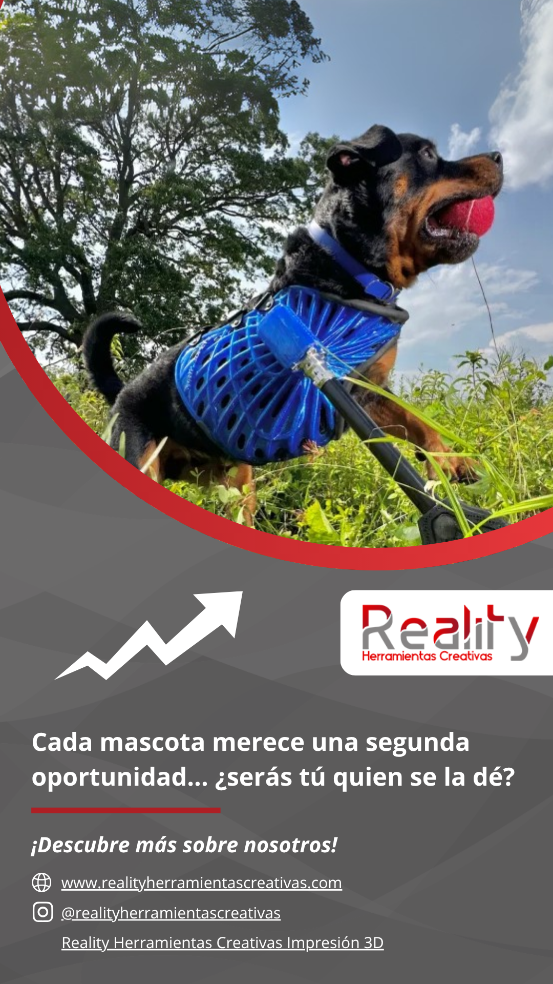 Perro con una prótesis-arnés impresa en 3D corriendo al aire libre